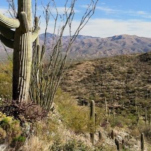 Meet your Posher, Bryan